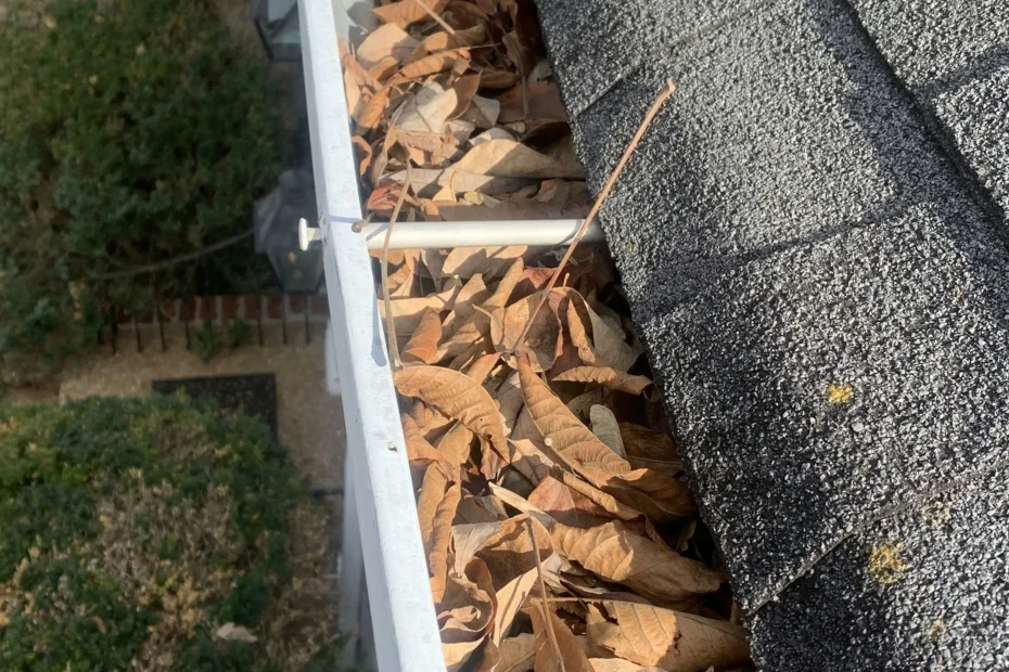 Gutter Cleaning Bensley